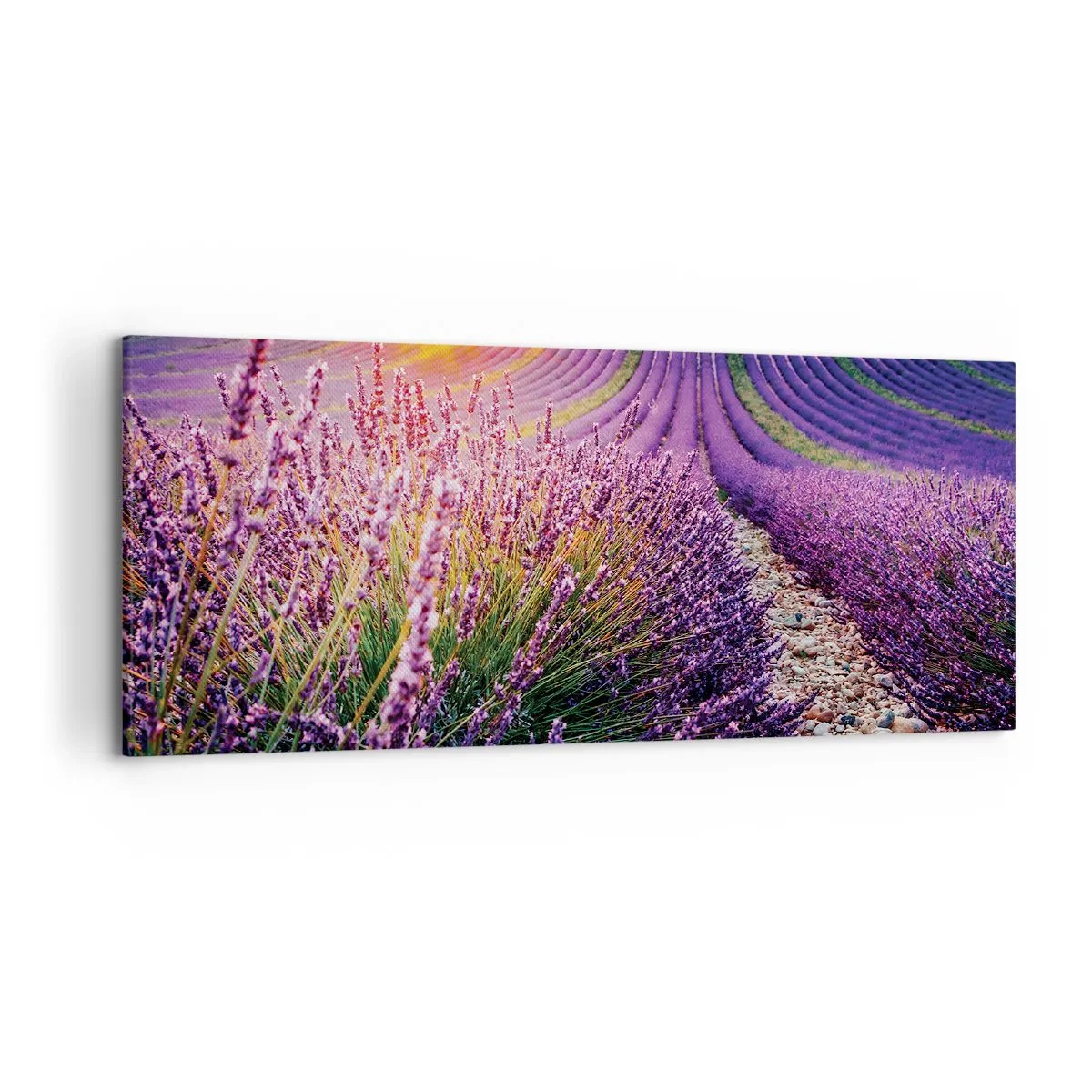Bild auf Leinwand - Leinwandbild - Lavendelfeld bei Sonnenuntergang - 120x50cm - Duftende Kornfelder - Moderne Wanddekoration für Wohnzimmer und Schlafzimmer ARTTOR