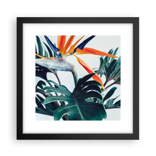 Poster in einem schwarzem Rahmen - Vogelbusch - 30x30 cm