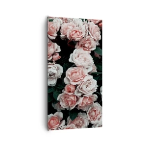 Bild auf Leinwand - Leinwandbild - Rosen-Ensemble - 65x120 cm