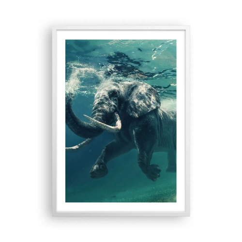 Poster in einem weißen Rahmen - Jeder schwimmt gerne - 50x70 cm