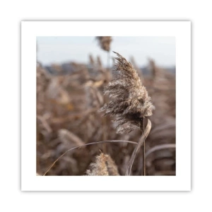Poster - Zeit, mit dem Wind zu gehen - 40x40 cm