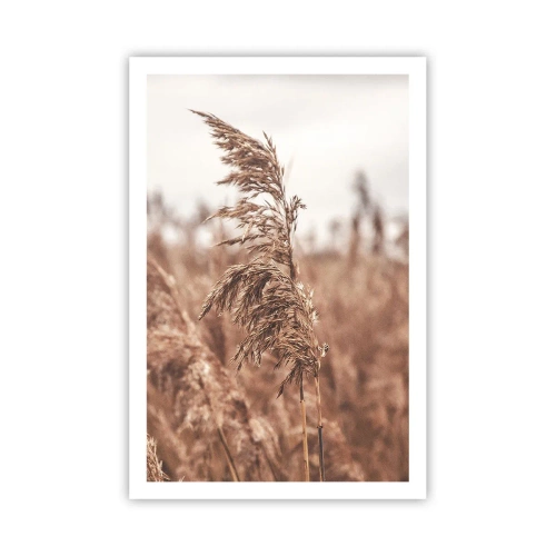 Poster - Auf den Feldern ist es schon Herbst - 61x91 cm