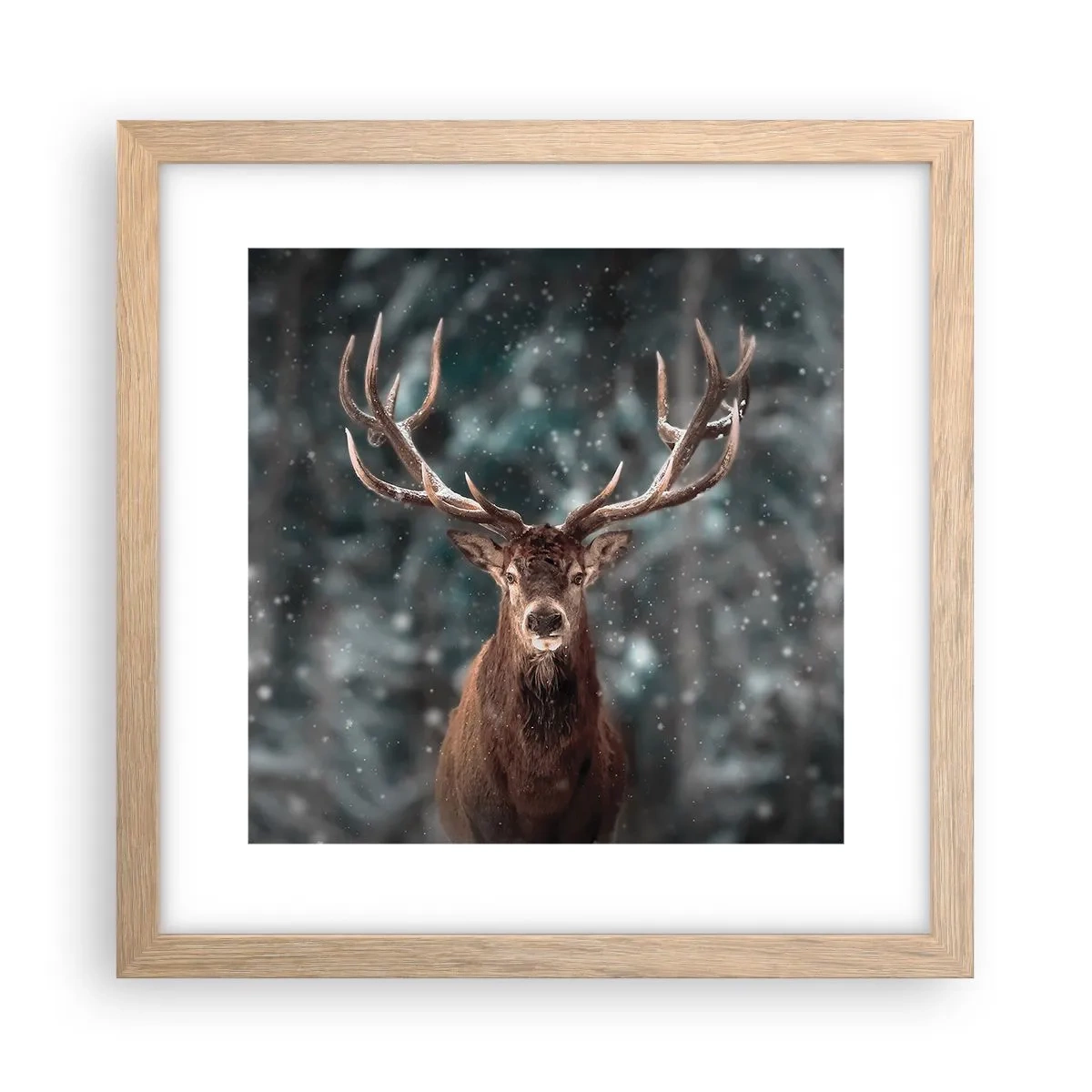Poster in einem Rahmen aus heller Eiche - Gekrönter König des Waldes - 30x30 cm