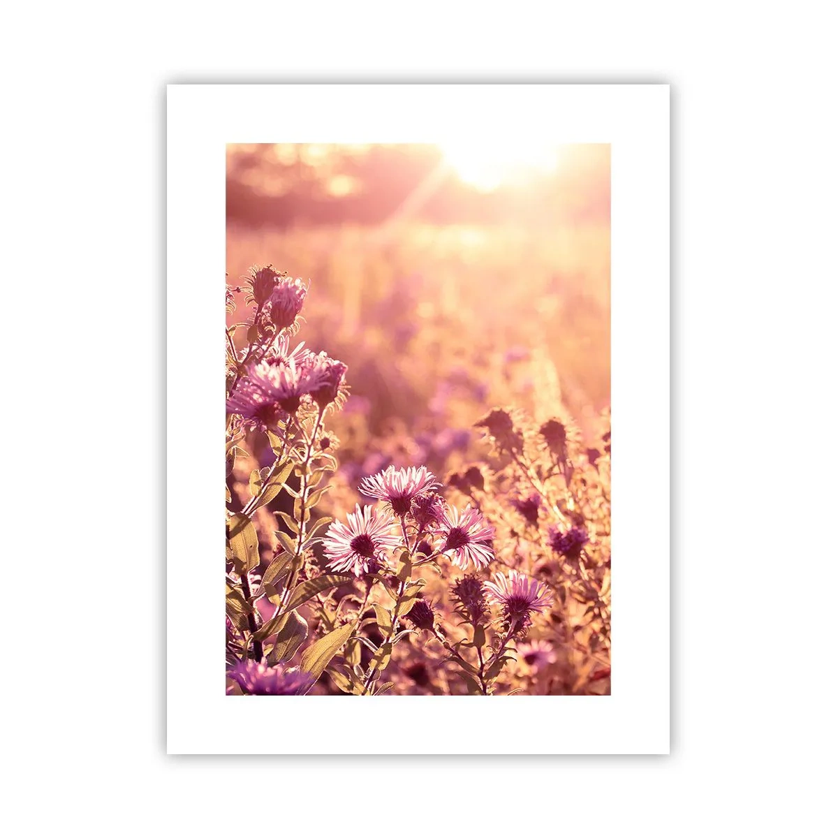 Poster - Bevor der Sommer vorbei ist - 30x40 cm