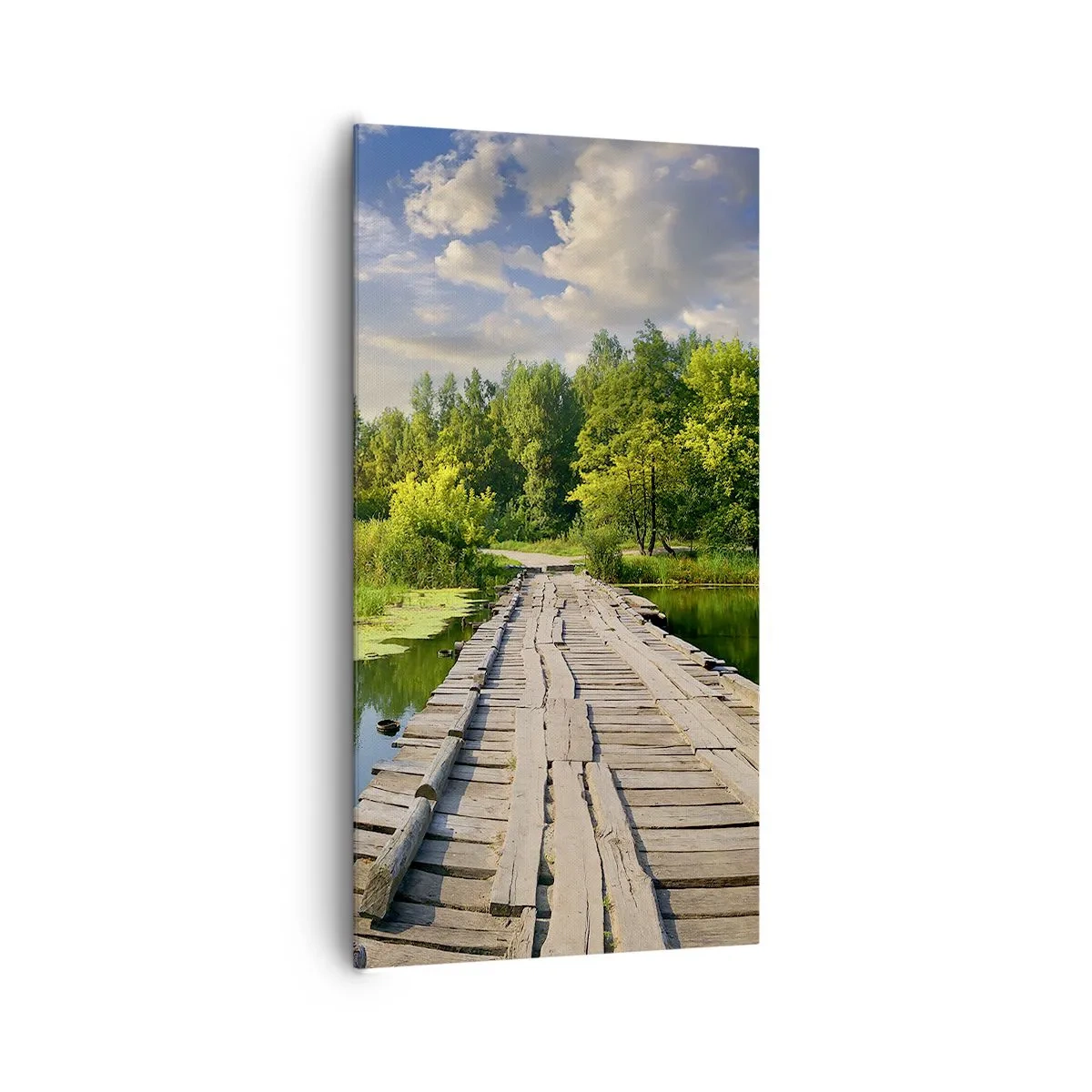 Bild auf Leinwand - Leinwandbild - Sommer, Sommer überall - 65x120 cm