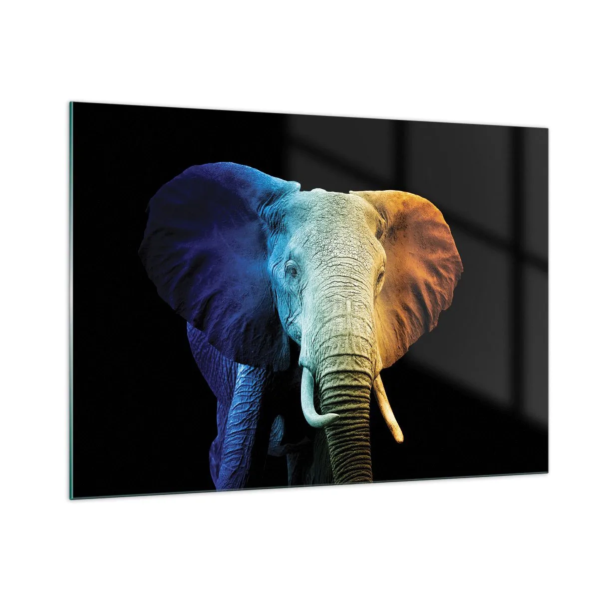 Glasbild - Bild auf glas - Buntes Porträt eines Elefanten auf schwarzem Hintergrund - 100x70cm - Exzentrisch, kein Verrückter - Moderne Wanddekoration für Wohnzimmer und Schlafzimmer ARTTOR