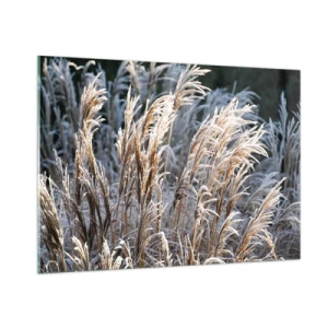 Glasbild - Bild auf glas - Gefrorene Gräser in der Wintersonne - 100x70cm - Gekleidet mit Frost - Moderne Wanddekoration für Wohnzimmer und Schlafzimmer ARTTOR