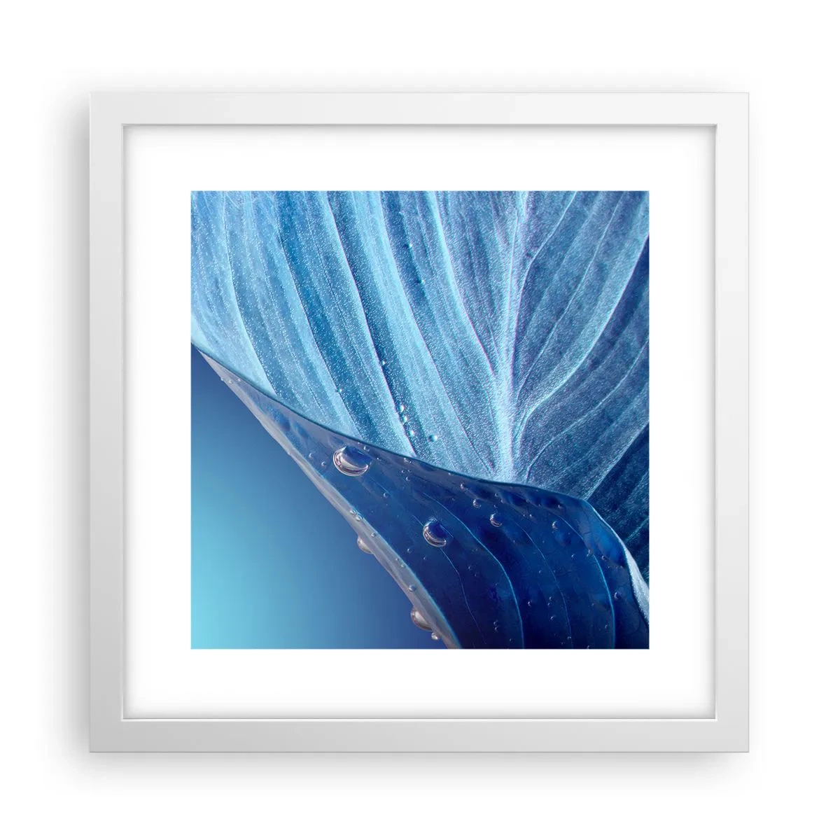 Poster in einem weißen Rahmen - Versteckte Tropfen vom Blau - 30x30 cm