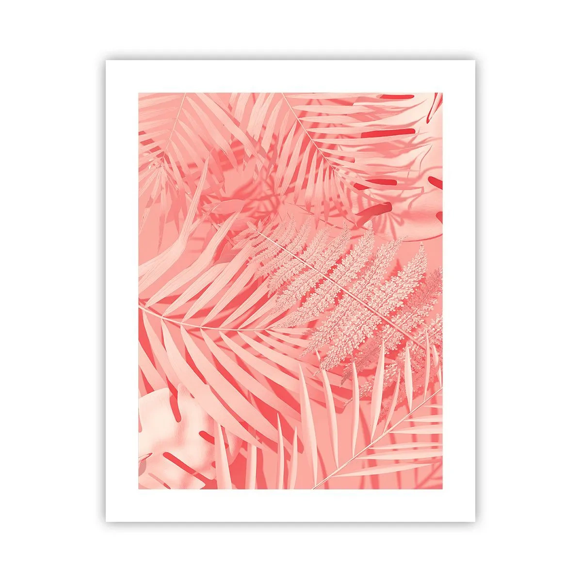 Poster - Rosa Konzept - 40x50 cm
