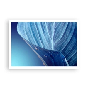 Poster - Ein blaues Blatt mit sichtbaren Wassertropfen - 100x70cm - Versteckte Tropfen vom Blau - Moderne Wanddekoration für Wohnzimmer und Schlafzimmer ARTTOR