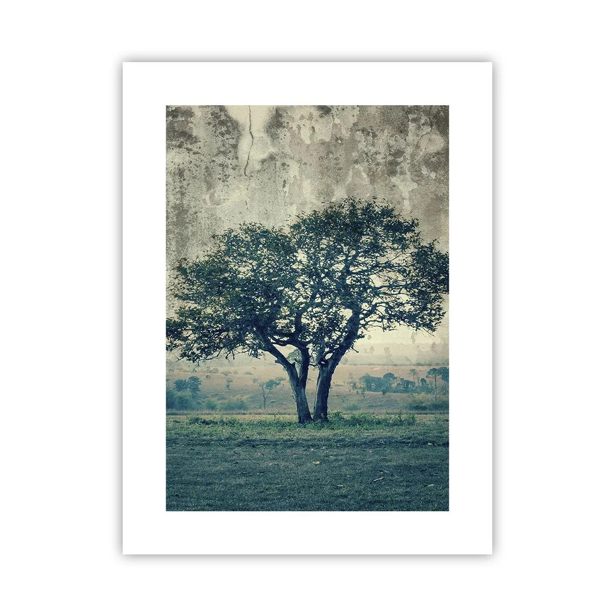 Poster - Ein Apfelbaum auf blauem Feld? - 30x40 cm