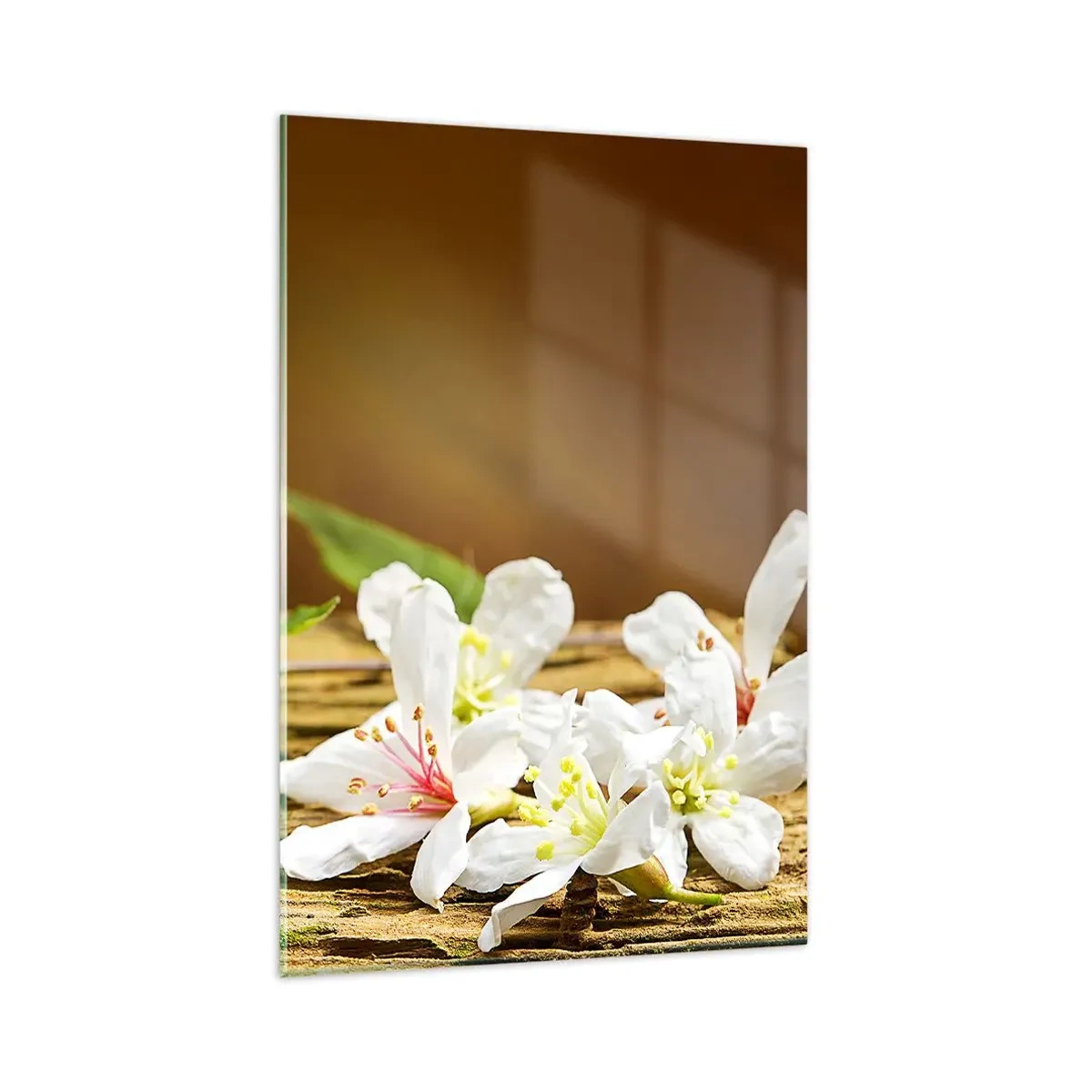 Glasbild - Bild auf glas - Weiße Blumen auf einem hölzernen Hintergrund in natürlichem Licht - 80x120cm - Ein unschuldiges Versprechen - Moderne Wanddekoration für Wohnzimmer und Schlafzimmer ARTTOR