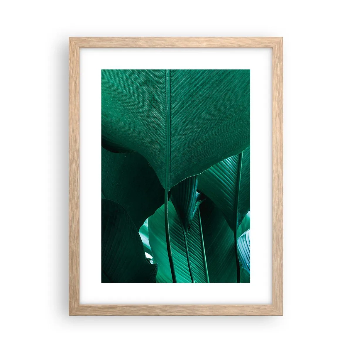 Poster in einem Rahmen aus heller Eiche - Dem Licht zugewandt - 30x40 cm