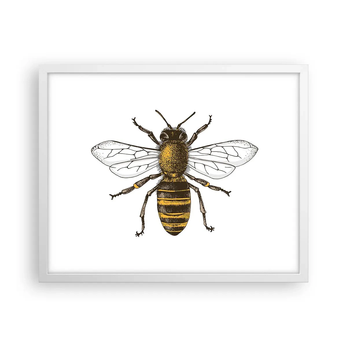 Poster in einem weißen Rahmen - Schön und gut - 50x40 cm