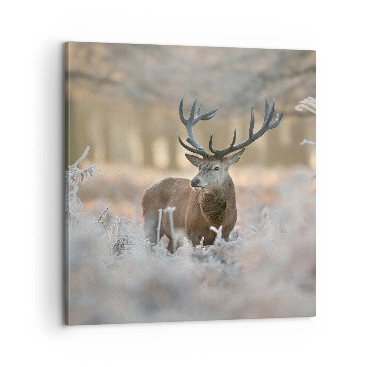 Bild auf Leinwand - Leinwandbild - Ein flotter Morgen - 60x60 cm