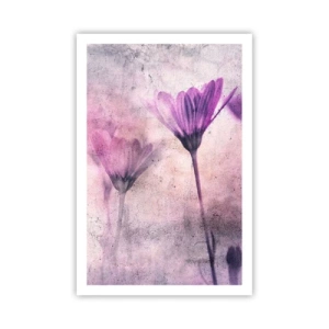 Poster - Ein Blumentraum - 61x91 cm