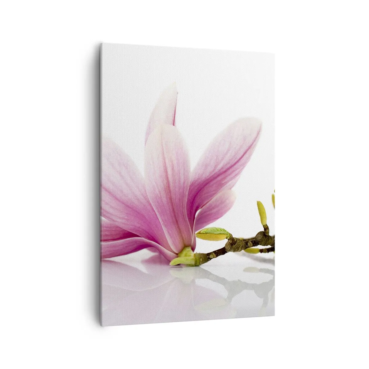 Bild auf Leinwand - Leinwandbild - Zarte rosa Magnolien auf weißem Hintergrund - 70x100cm - Zart wie ein Frühlingswind - Moderne Wanddekoration für Wohnzimmer und Schlafzimmer ARTTOR