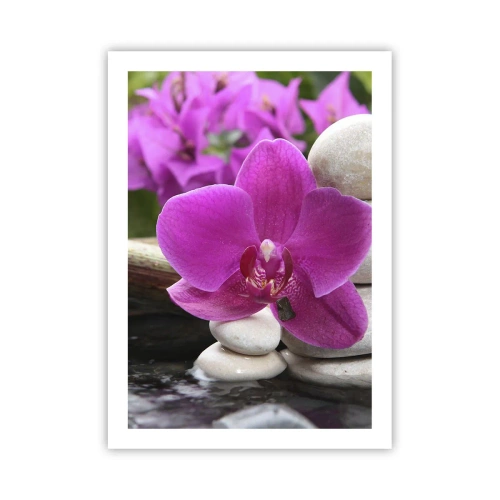 Poster - Eine violette Orchidee vor einem Hintergrund aus Steinen in harmonischer Anordnung - 50x70cm - Du ruhst dich schon aus - Moderne Wanddekoration für Wohnzimmer und Schlafzimmer ARTTOR