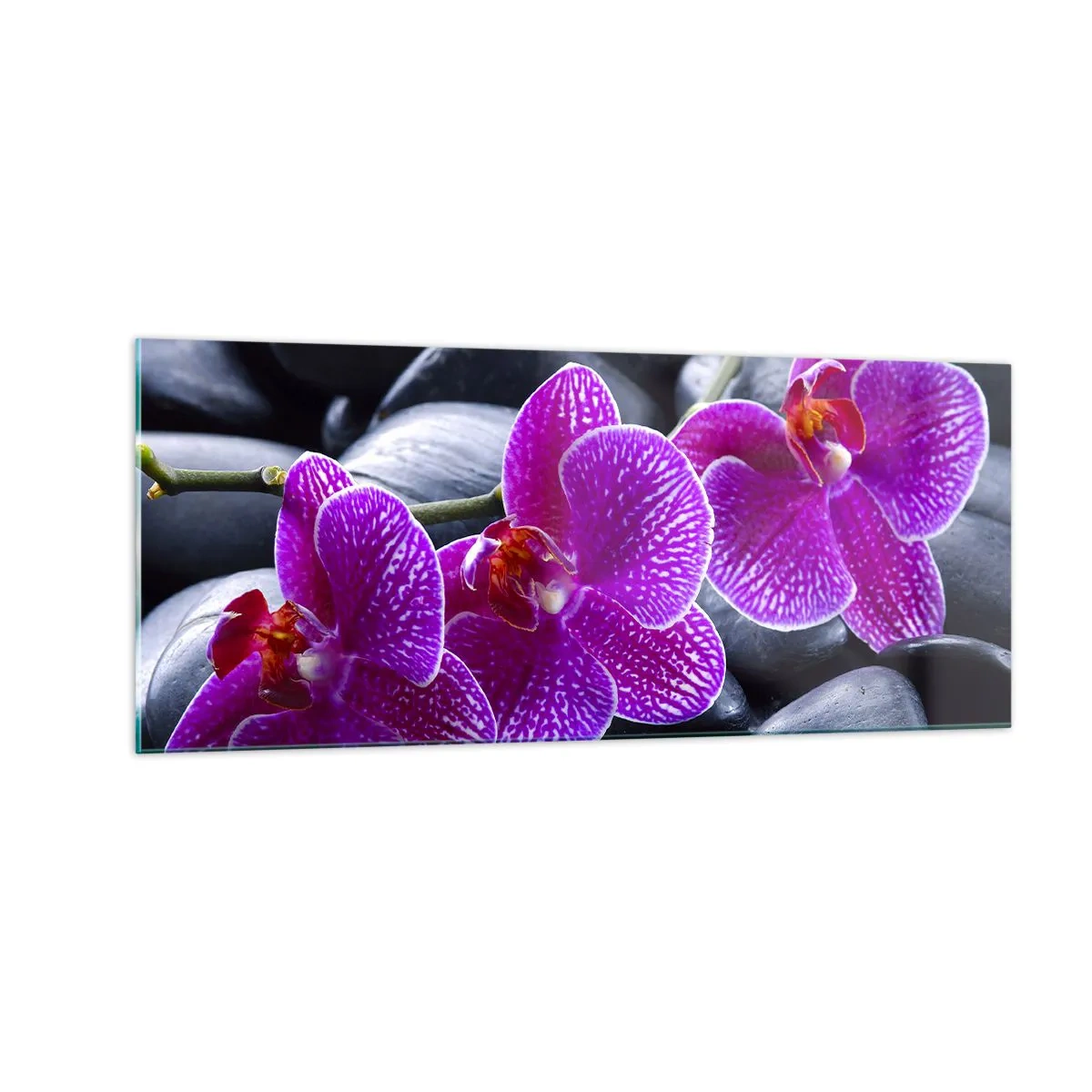 Glasbild - Bild auf glas - Die Steine glühten vor Freude - 100x40 cm