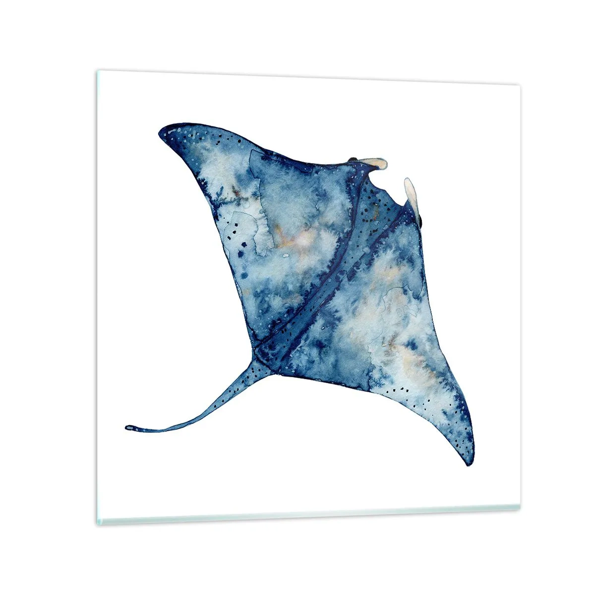 Glasbild - Bild auf glas - Leben im Blau - 30x30 cm