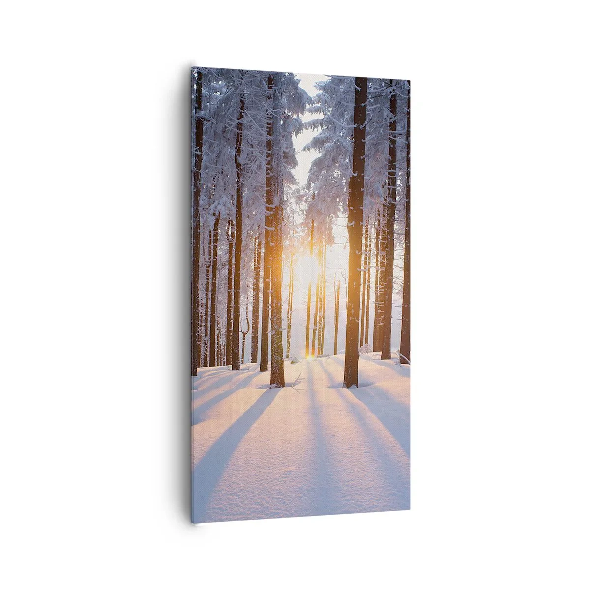 Bild auf Leinwand - Leinwandbild - Ganz klar schwarz auf weiß - 65x120 cm