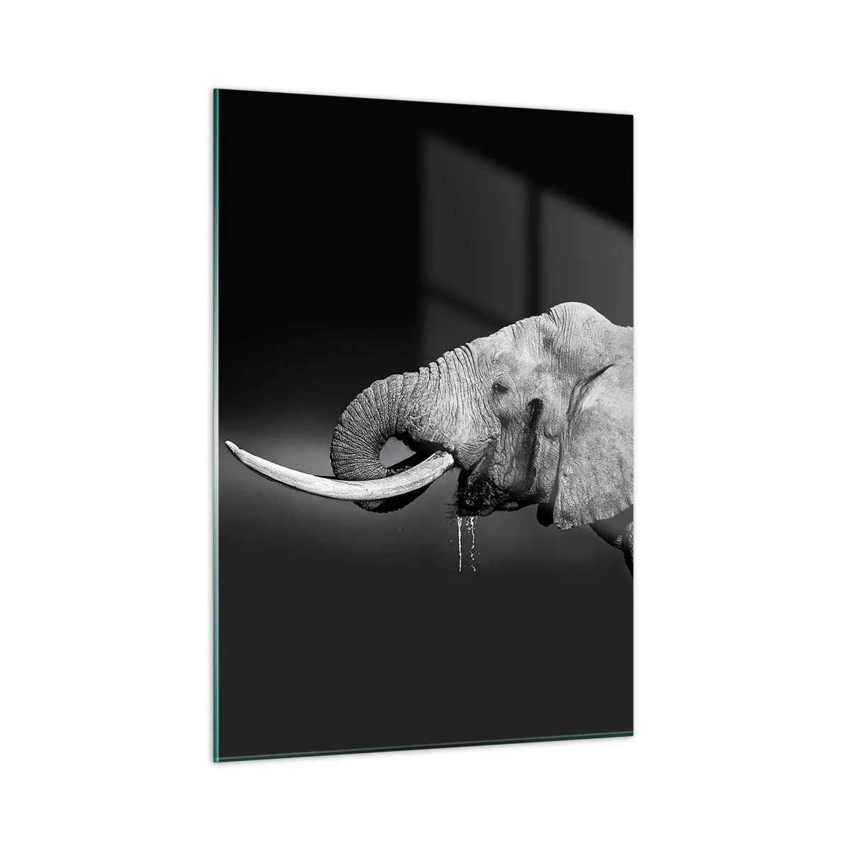 Glasbild - Bild auf glas - Schwarz-Weiß-Porträt eines Elefanten mit Rüssel - 50x70cm - Ja, gut jetzt - Moderne Wanddekoration für Wohnzimmer und Schlafzimmer ARTTOR
