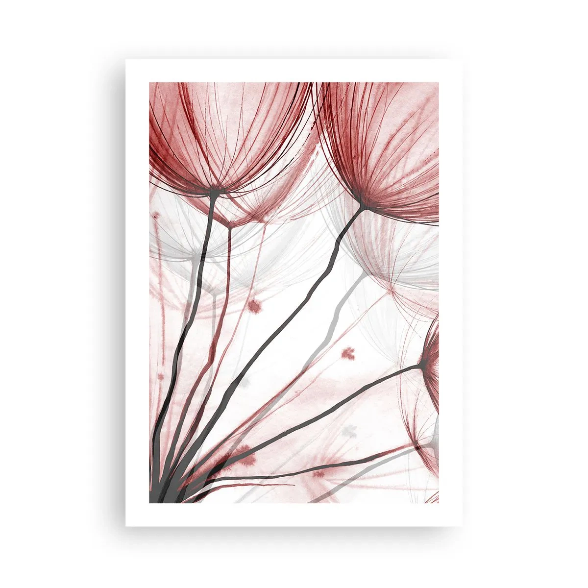 Poster - Zarte Löwenzahnblüten in Rot- und Schwarztönen - 50x70cm - Vor der Abfahrt - Moderne Wanddekoration für Wohnzimmer und Schlafzimmer ARTTOR