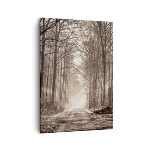 Bild auf Leinwand - Leinwandbild - Ein Waldweg zwischen sepiafarbenen Bäumen - 50x70cm - Waldkathedrale - Moderne Wanddekoration für Wohnzimmer und Schlafzimmer ARTTOR