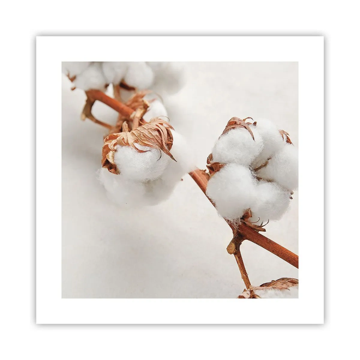 Poster - Nur umarmen - 40x40 cm