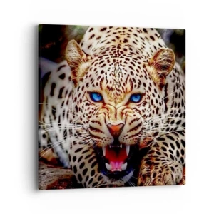 Bild auf Leinwand - Leinwandbild - Schönheitswut tut nicht weh - 40x40 cm