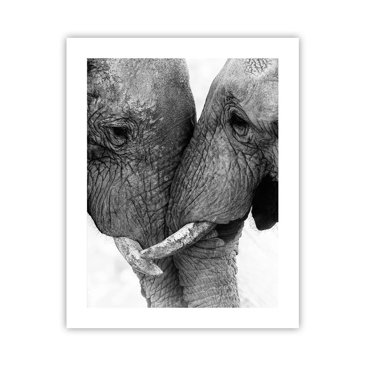 Poster - Herzliches Geständnis - 40x50 cm