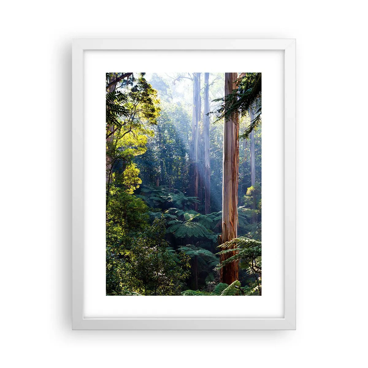 Poster in einem weißen Rahmen - Ein Waldmärchen - 30x40 cm