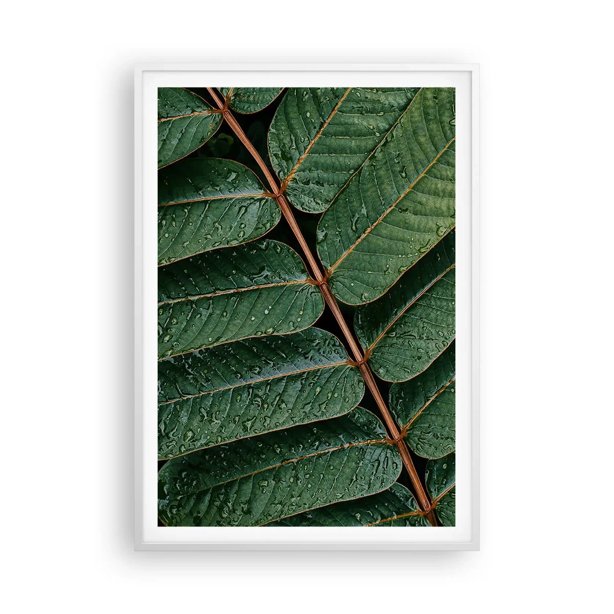 Poster in einem weißen Rahmen - Im grünen Rhythmus - 70x100 cm