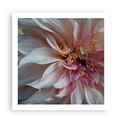 Poster - Blühende Frische - 60x60 cm