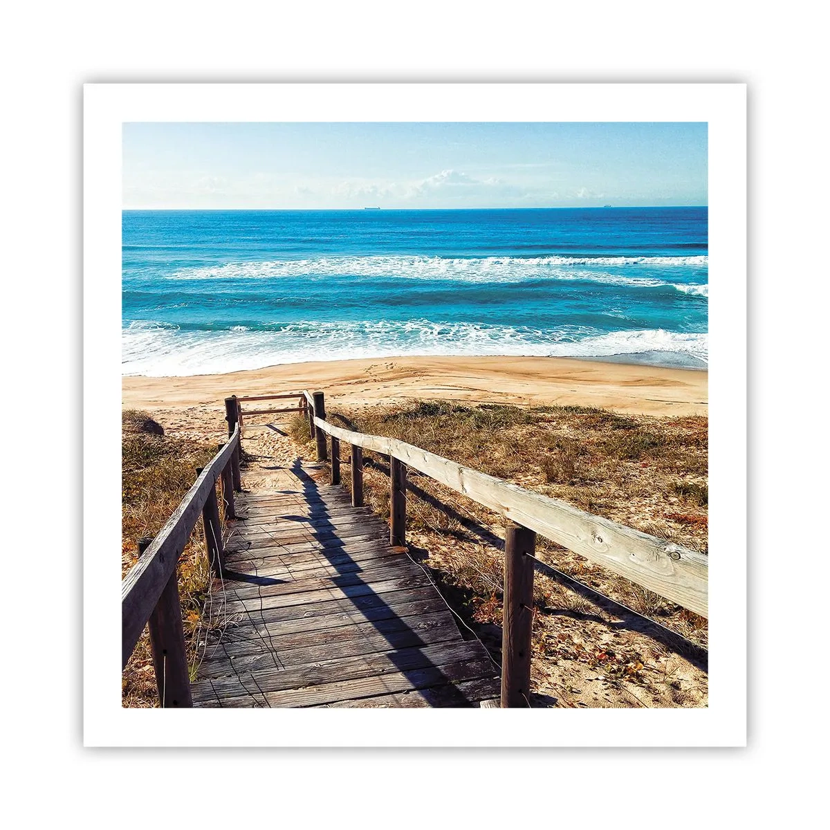 Poster - Lauf! - 60x60 cm