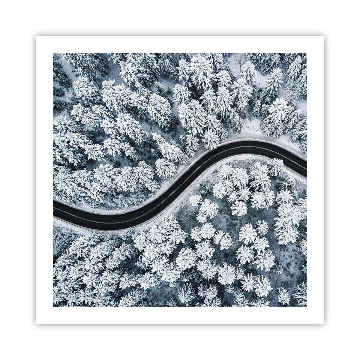 Poster - Durch den Winterwald - 60x60 cm