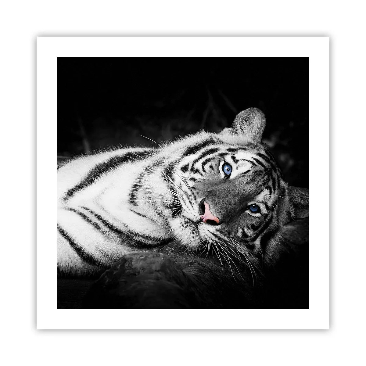 Poster - Wildnis und Frieden - 50x50 cm