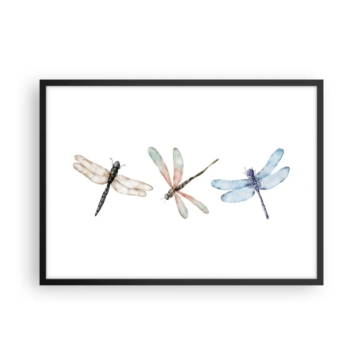 Poster in einem schwarzem Rahmen - Drei Libellen in zarten Pastellfarben - 70x50cm - Schwerelose Libellen - Moderne Wanddekoration für Wohnzimmer und Schlafzimmer ARTTOR