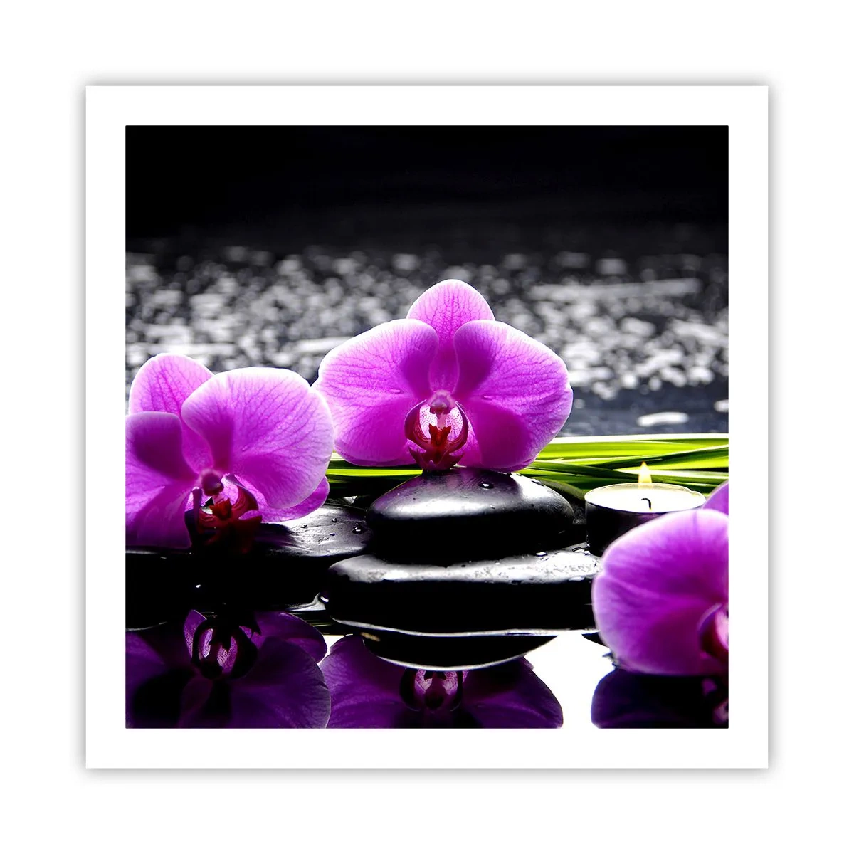 Poster - In Ruhe ertrinken - 60x60 cm