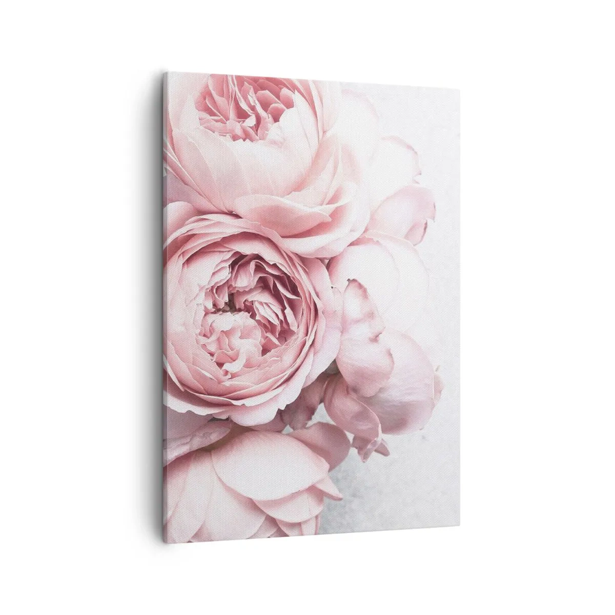 Bild auf Leinwand - Leinwandbild - Rosa Pfingstrosen in sanftem Licht vor hellem Hintergrund - 50x70cm - Für Romantiker - Moderne Wanddekoration für Wohnzimmer und Schlafzimmer ARTTOR