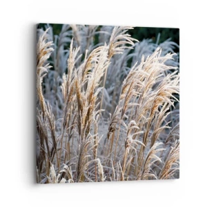 Bild auf Leinwand - Leinwandbild - Gekleidet mit Frost - 30x30 cm