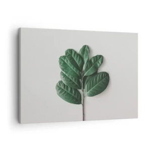 Bild auf Leinwand - Leinwandbild - Ein Zweig grüner Blätter auf hellem Hintergrund - 70x50cm - Eine Zeichnung purer Natur - Moderne Wanddekoration für Wohnzimmer und Schlafzimmer ARTTOR