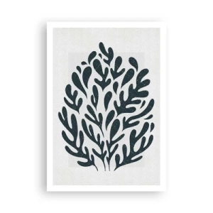 Poster - Formen der Natur - 70x100 cm