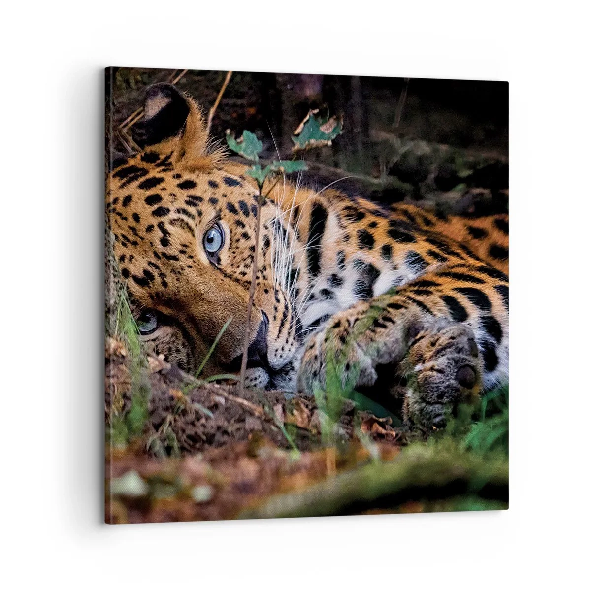 Bild auf Leinwand - Leinwandbild - Vertrau mir - 60x60 cm