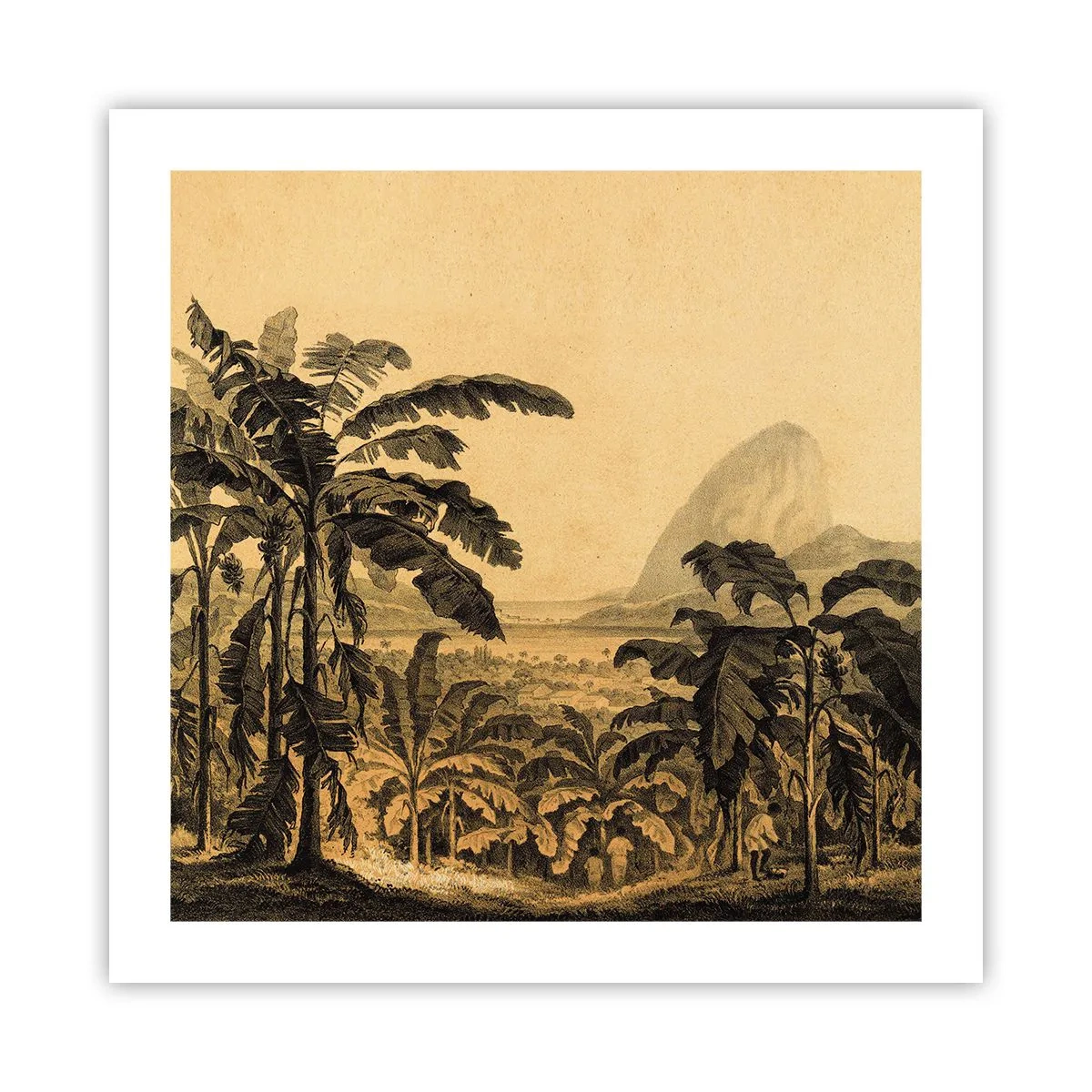 Poster - in einem kolonialen Klima - 50x50 cm