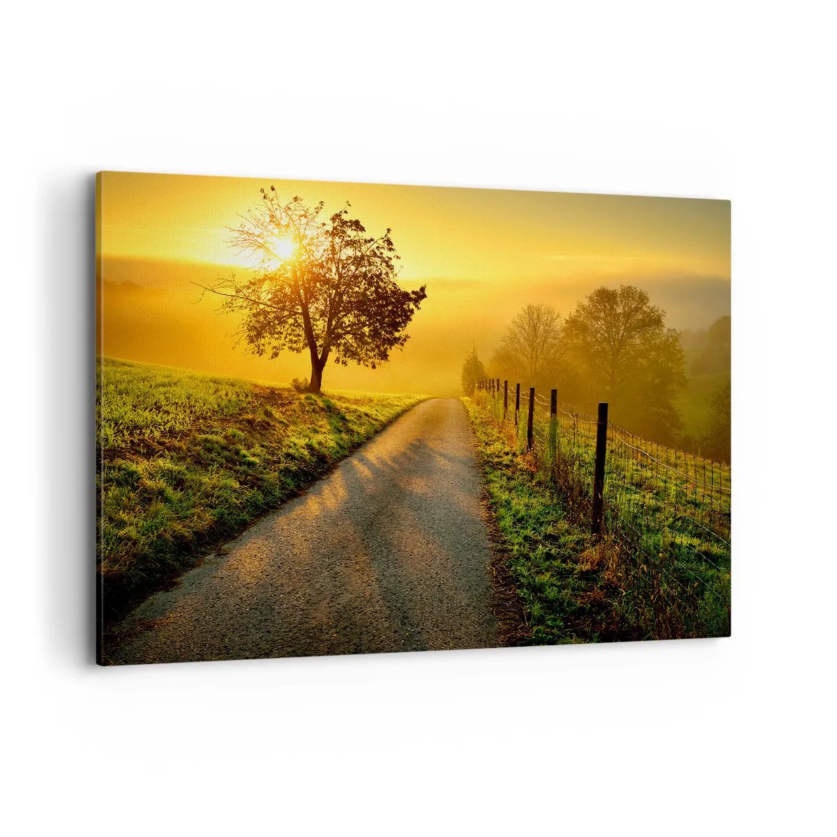 Bild auf Leinwand - Leinwandbild - Eine malerische Straße bei Sonnenuntergang mit einem einsamen Baum im Hintergrund - 120x80cm - Honig-Nachmittag - Moderne Wanddekoration für Wohnzimmer und Schlafzimmer ARTTOR