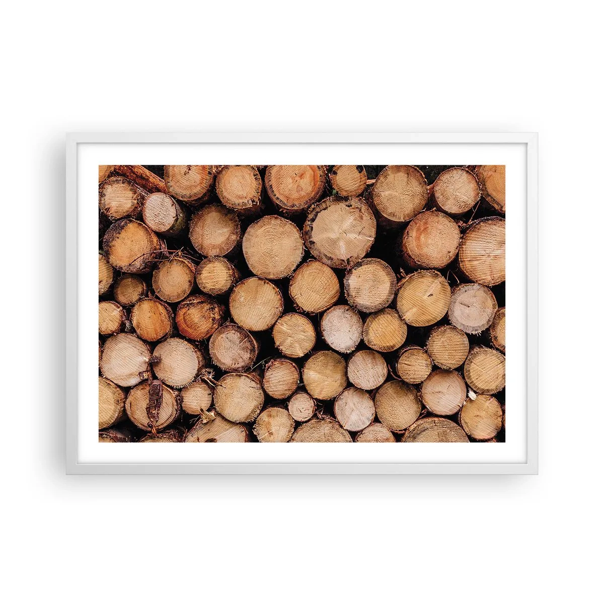 Poster in einem weißen Rahmen - Ein neuer Anfang - 70x50 cm