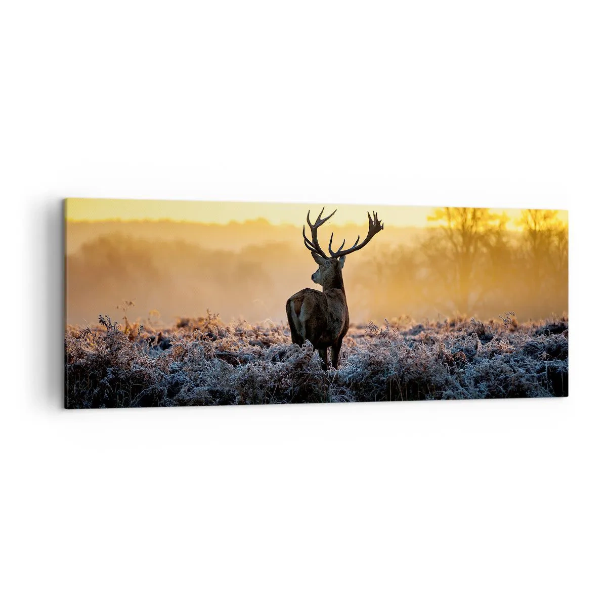 Bild auf Leinwand - Leinwandbild - Ein Reh auf einer frostigen Lichtung bei Sonnenaufgang - 140x50cm - Gekrönt auf seinem Besitz - Moderne Wanddekoration für Wohnzimmer und Schlafzimmer ARTTOR