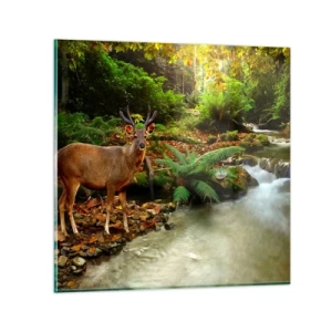 Glasbild - Bild auf glas - Willkommen in meiner Welt - 30x30 cm