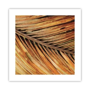 Poster - Kokosnuss-Gold - 40x40 cm